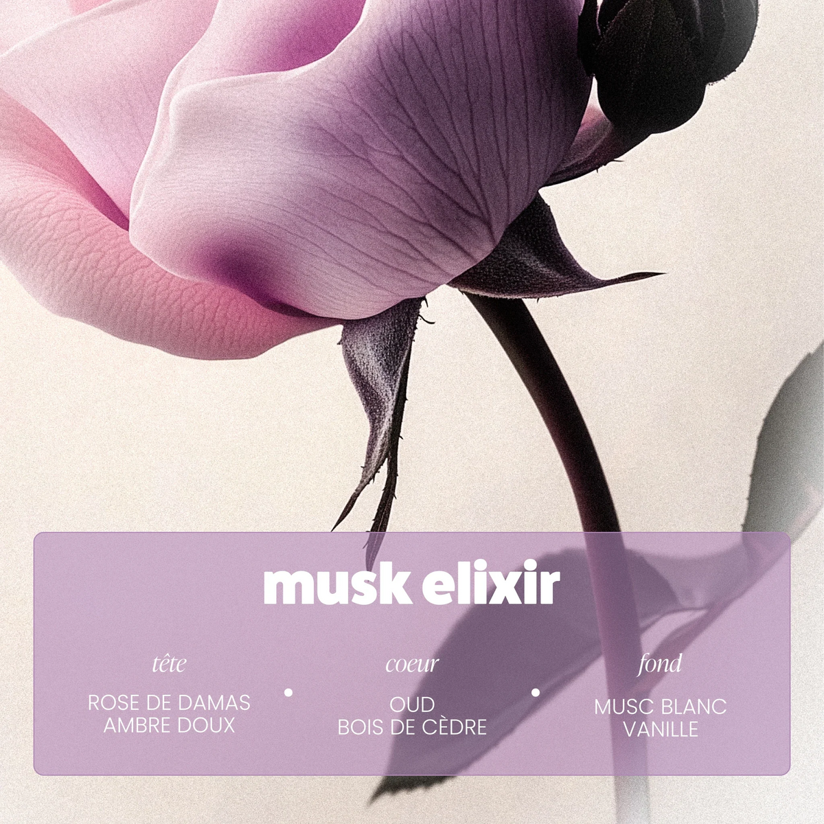 Brume Musk Elixir