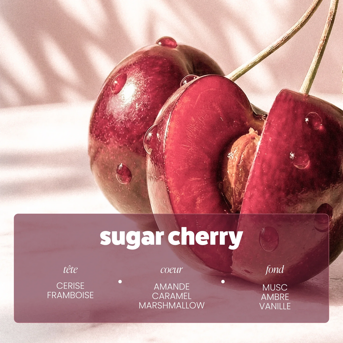 Brume Sugar Cherry